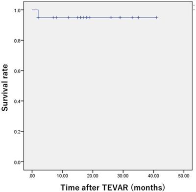 Clinical outcomes of Najuta thoracic stent graft system for arch aneurysms